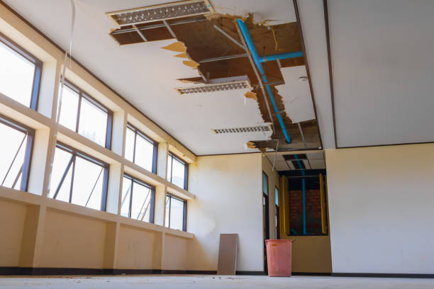 Best 24/7 water damage repair  in Cross Roads, TX