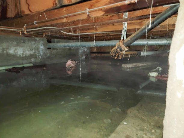 Best Ceiling water damage repair  in Cross Roads, TX