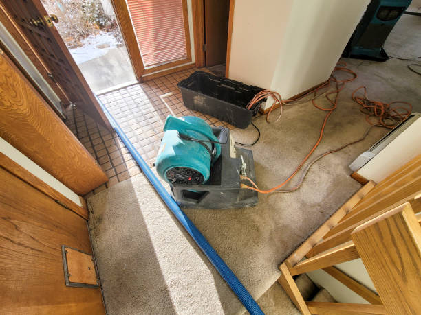 Best Flood damage cleanup  in Cross Roads, TX