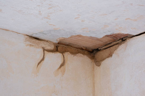 Best 24/7 water damage repair  in Cross Roads, TX