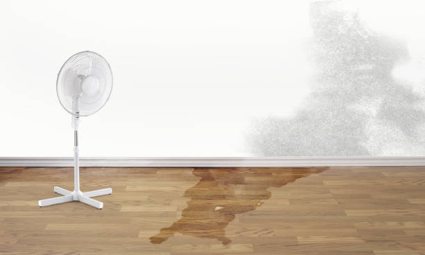  Cross Roads, TX Water damage restoration Pros
