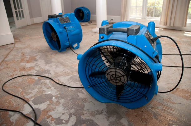 Best Residential water damage restoration  in Cross Roads, TX