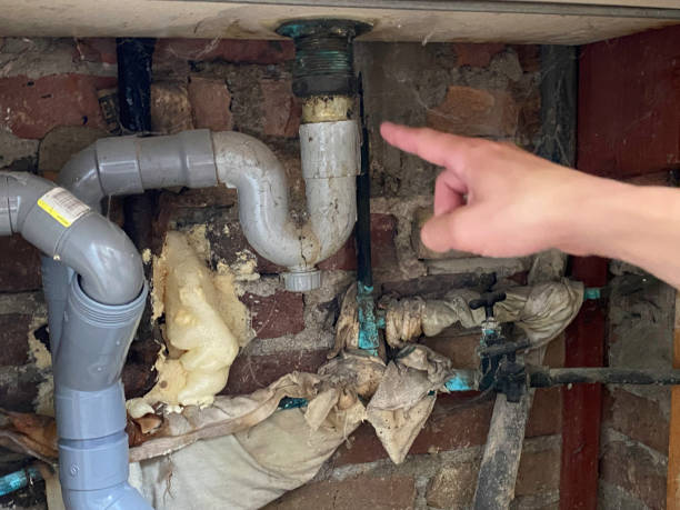 Best Water damage repair service  in Cross Roads, TX