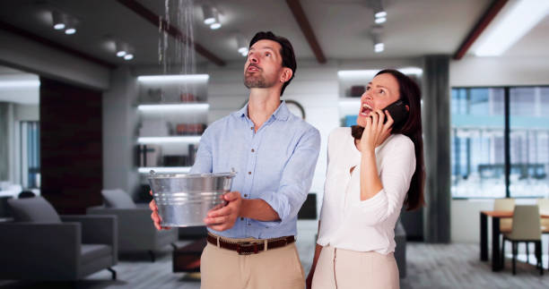 Best Local water damage restoration  in Cross Roads, TX