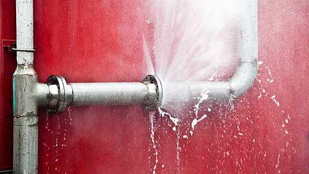 Best Water damage contractors near me  in Cross Roads, TX